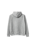 IHBIS - HOODIE